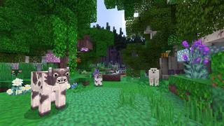 Screenshot of the Minecraft Bedrock Marketplace product Enhanced Textures created by Tristan Productions.