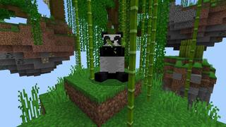 Screenshot of the Minecraft Bedrock Marketplace product Skyblock created by Tristan Productions.