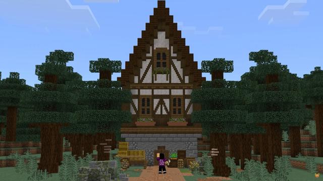 Screenshot of the Minecraft Bedrock Marketplace product Real Miniblocks Add-On created by Vatonage.