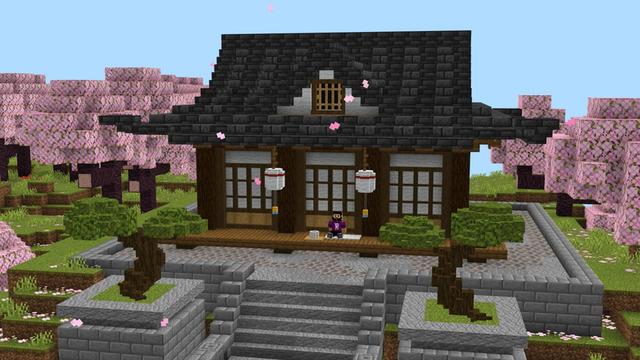 Screenshot of the Minecraft Bedrock Marketplace product Real Miniblocks Add-On created by Vatonage.