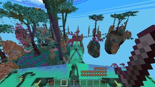 Screenshot of the Minecraft Bedrock Marketplace product Dream Skyblock created by Vertexcubed.