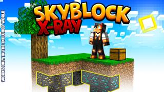 Thumbnail of the Minecraft Bedrock Marketplace product Skyblock X-Ray created by Volcano.