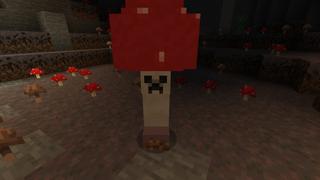 Screenshot of the Minecraft Bedrock Marketplace product Creepers Expansion created by VoxelBlocks.