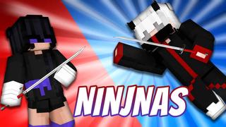Thumbnail of the Minecraft Bedrock Marketplace product NINJAS created by VoxelBlocks.