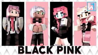 Thumbnail of the Minecraft Bedrock Marketplace product Black Pink created by Waypoint Studios.