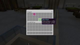 Screenshot of the Minecraft Bedrock Marketplace product Hacker Labs created by Waypoint Studios.