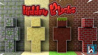 Thumbnail of the Minecraft Bedrock Marketplace product Hidden Blocks created by Waypoint Studios.