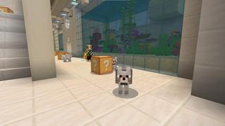 Screenshot of the Minecraft Bedrock Marketplace product Lucky Block Winter Island created by Waypoint Studios.