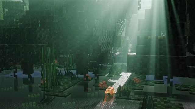 Screenshot of the Minecraft Bedrock Marketplace product Mako created by Waypoint Studios.