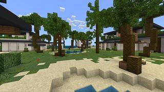 Screenshot of the Minecraft Bedrock Marketplace product Millionaire Summer Islands created by Waypoint Studios.
