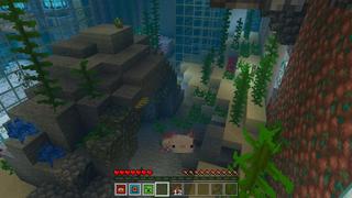 Screenshot of the Minecraft Bedrock Marketplace product Mob Morph created by Waypoint Studios.