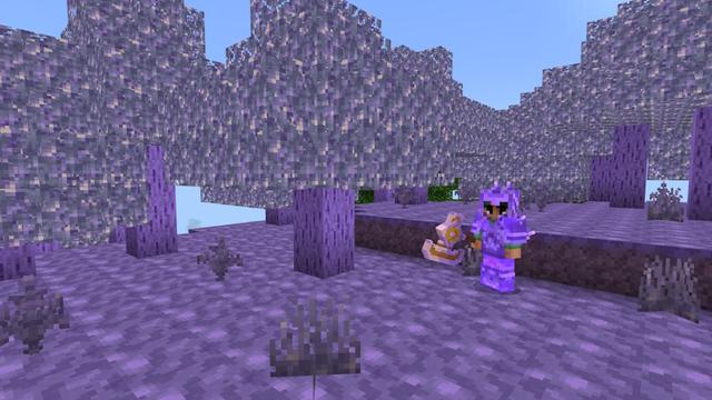 Screenshot of the Minecraft Bedrock Marketplace product Amethyst Expansion created by WildPhire.