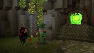 Screenshot of the Minecraft Bedrock Marketplace product Skyblock Portals created by Withercore.