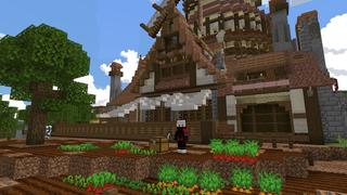 Screenshot of the Minecraft Bedrock Marketplace product Skyblock Portals created by Withercore.