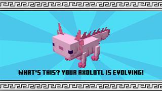 Screenshot of the Minecraft Bedrock Marketplace product Axolotl Evolve created by Wonder.