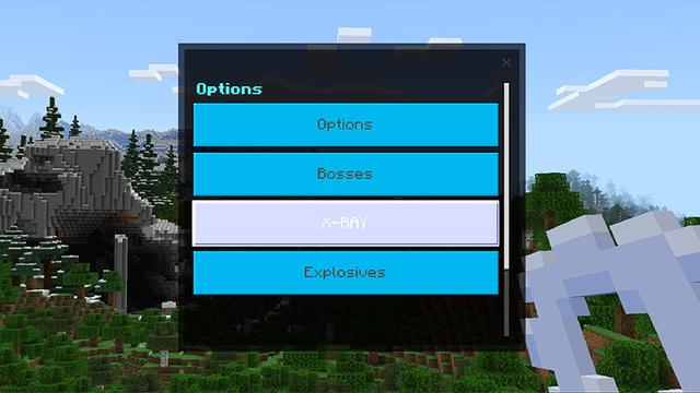 Screenshot of the Minecraft Bedrock Marketplace product Hack Client created by Wonder.