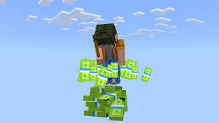 Screenshot of the Minecraft Bedrock Marketplace product Money One Block created by Wonder.