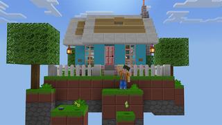 Screenshot of the Minecraft Bedrock Marketplace product Money One Block created by Wonder.