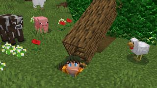 Screenshot of the Minecraft Bedrock Marketplace product Secret Tree Base created by Wonder.