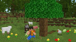 Screenshot of the Minecraft Bedrock Marketplace product Secret Tree Base created by Wonder.