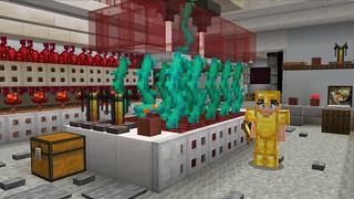 Screenshot of the Minecraft Bedrock Marketplace product Secret Tree Base created by Wonder.