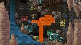 Screenshot of the Minecraft Bedrock Marketplace product X-RAY created by Wonder.