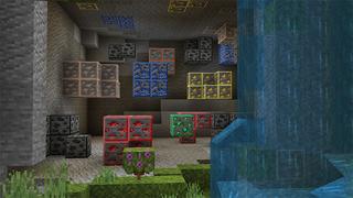 Screenshot of the Minecraft Bedrock Marketplace product X-RAY created by Wonder.