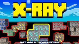Thumbnail of the Minecraft Bedrock Marketplace product X-RAY created by Wonder.