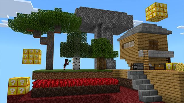 Screenshot of the Minecraft Bedrock Marketplace product One Block [?] created by ADD!T!ONS.