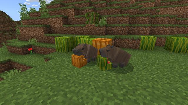 Screenshot of the Minecraft Bedrock Marketplace product Capybaras+ created by Yeggs.