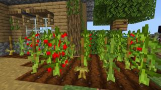 Screenshot of the Minecraft Bedrock Marketplace product More Food created by Yeggs.