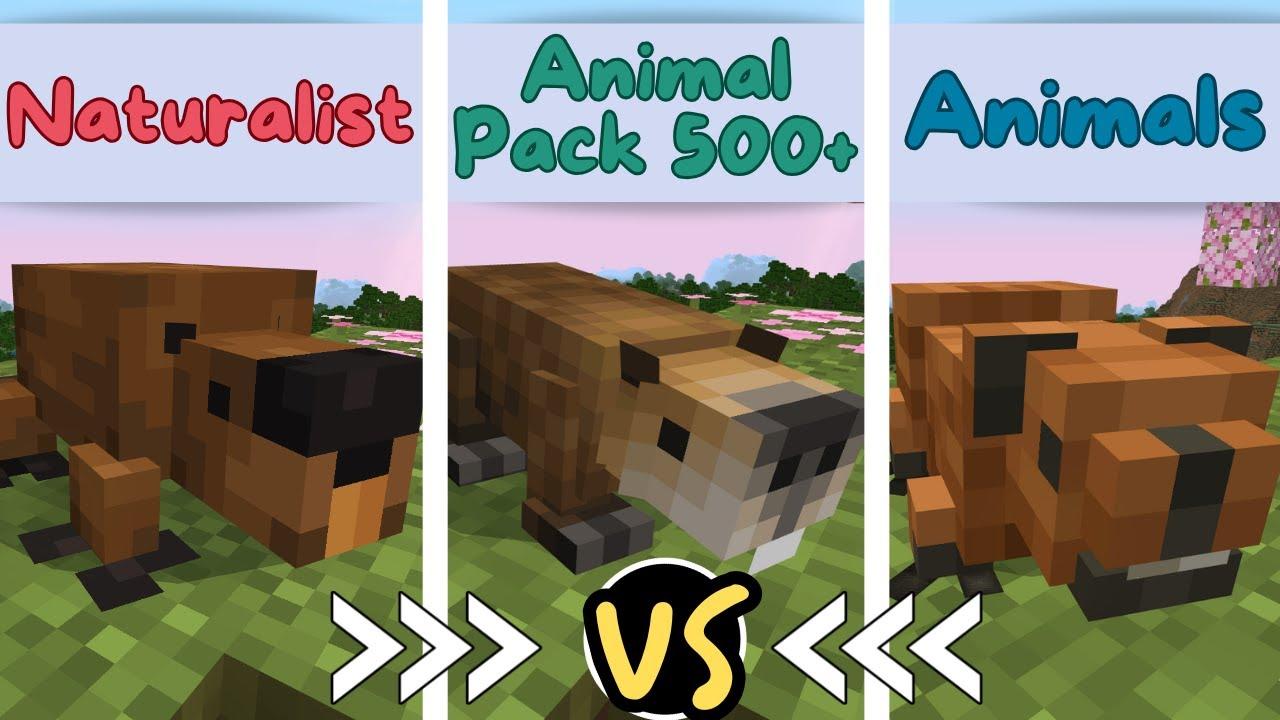 Fishing + Add-On by MobBlocks | CHUNK - Minecraft Bedrock Marketplace ...