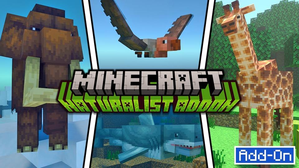 Naturalist Add On By Starfish Studios CHUNK Minecraft Bedrock 