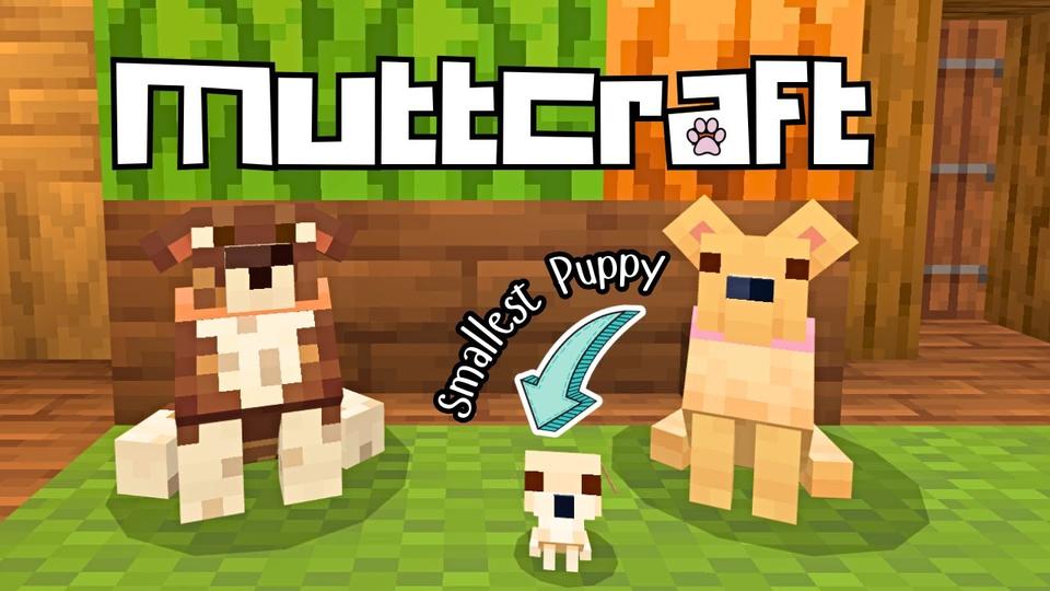 Rescue Dogs - MUTTS! Add-On by StacyPlays | CHUNK - Minecraft Bedrock ...