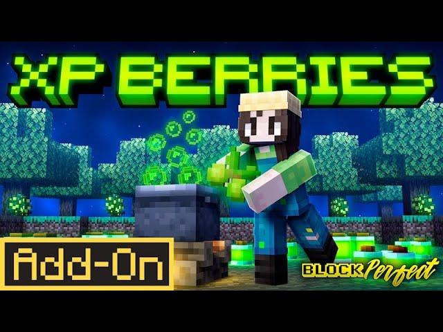 XP Berries by Block Perfect Studios | CHUNK - Minecraft Bedrock ...