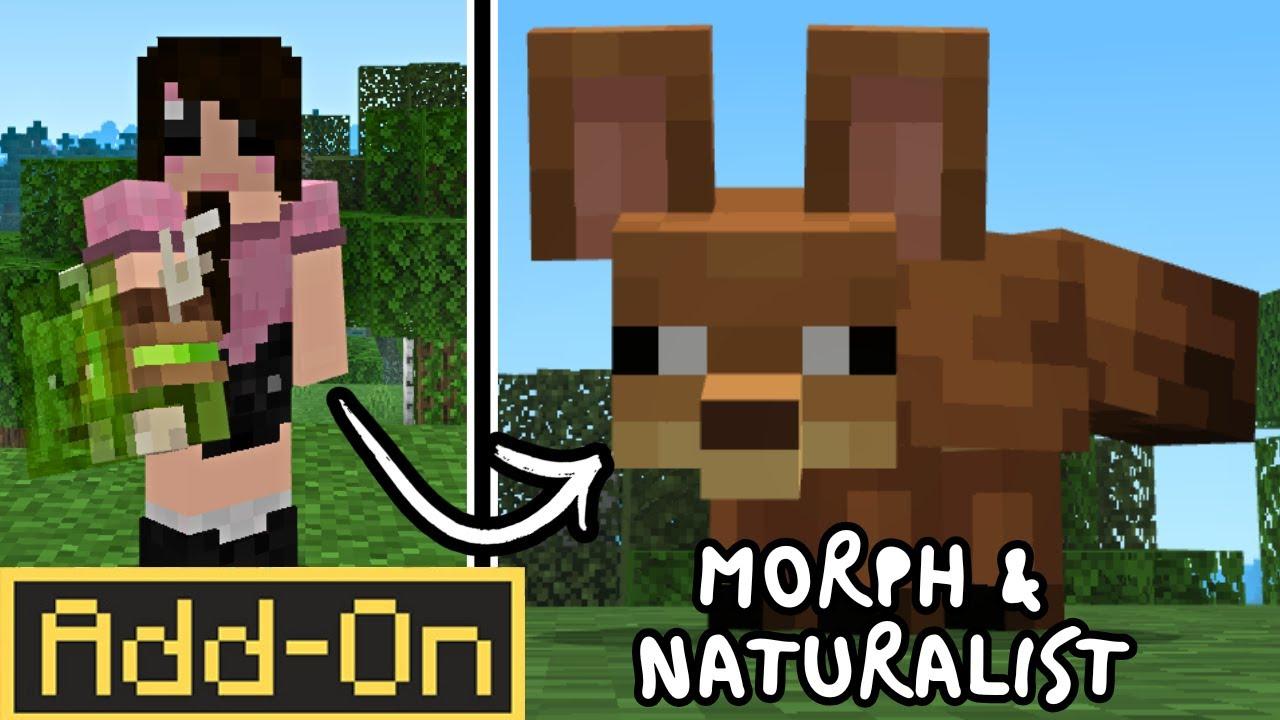 MORPH Add-On by Kubo Studios | CHUNK - Minecraft Bedrock Marketplace ...