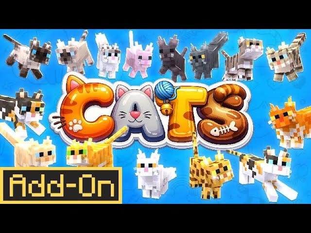 CATS Add-On by ChewMingo | CHUNK - Minecraft Bedrock Marketplace Explorer